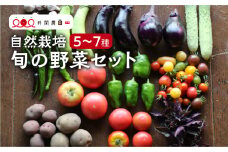 【8月～10月発送】 《期間限定》旬の野菜セット　5～7品 夏野菜 不耕起栽培 産地直送