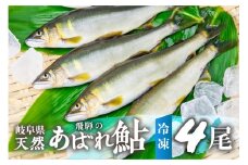 2025年産 飛騨 天然鮎 中サイズ 4尾 天然 アユ 鮎 選べる内容量 岐阜県 室田名人 宮川下流 飛騨のあばれ鮎 高級料亭御用達 急速冷凍 冷凍 あゆ 魚 天然 川魚 13000円 [Q1459_25]
