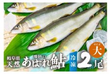 《先行予約》2025年産 飛騨 天然鮎 大サイズ 2尾 天然 アユ 鮎 岐阜県 室田名人 宮川下流 飛騨のあばれ鮎 高級料亭御用達 急速冷凍 冷凍 あゆ 魚 天然 川魚 10000円 1万円