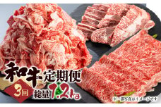 「和牛定期便」定期便 3回 お楽しみ 牛肉 切落し 切り落とし 焼肉 すき焼き しゃぶしゃぶ BBQ 個包装 国産和牛 総重量1.2kg 定期便 肉