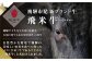 飛騨市発のブランド和牛 飛米牛の定期便です。