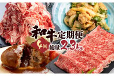 「和牛定期便」定期便 4回 お楽しみ 牛肉 切落し 切り落とし ホルモン もつ 焼肉 ハンバーグ レトルト しゃぶしゃぶ 個包装 国産和牛 総重量2.3kg 定期便 肉
