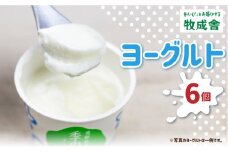 牧成舎カップヨーグルト 6個 訳あり 牧成舎 味おまかせ お楽しみ 福袋 プレーン 砂糖不使用 わけあり