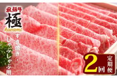＼すきやき・しゃぶしゃぶ2回定期便／飛騨市推奨特産品　飛騨牛 肩ロース すき焼き用 500g 肩ロース しゃぶしゃぶ用 500g  飛騨牛 すき焼き すきやき しゃぶしゃぶ 鍋 定期便 2回 プロ厳選 牛 牛肉 和牛 肉 国産 岐阜県 飛騨市 60000円 6万円