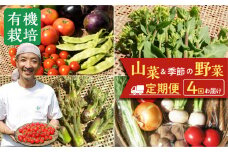 栄養価コンテストグランプリ農家がお届けする「飛騨の四季 山菜と野菜尽くしセット」定期便 年4回　飛騨　ありがとうファーム