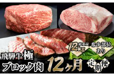 定期便 飛騨牛ブロック12回お届け  牛肉 和牛 ブランド牛 ごちそう 贅沢飛騨牛