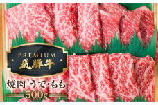 最飛び牛 飛騨牛 赤身 焼肉 500g 5等級 A5 うでorもも 牛肉 和牛 ブランド牛 プレミアム ごちそう 贅沢飛騨牛 肉の沖村