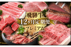 定期便 プレミアム飛騨牛12回お届けロングコース | 飛騨牛 牛肉 肉 和牛 国産牛 12ヶ月 年間 1年 定期