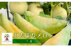 先行予約【8月下旬～9月上旬発送】CHACRA DE MELLIZASのひだまりメロン 1個 syun177