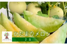 【8月下旬～9月上旬発送】CHACRA DE MELLIZASのひだまりメロン 2個 syun178