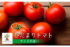 《訳あり》サイズ不揃い CHACRA DE MELLIZASのひだまりとまと 1.7kg syun179