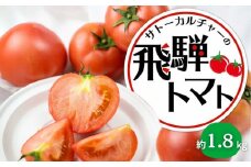 《先行予約》令和7年産 飛騨トマト 約1.8kg 産地直送 野菜 とまと トマト 麗月 夏野菜 やさい サトーカルチャー