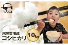 【2025年先行予約】令和7年産 新米 飛騨古川産　特別栽培米　こしひかり 10kg コシヒカリ 新米 お米 米 精米 ごはん ご飯 特A 米不足  ソイル