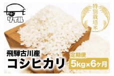 【2025年先行予約 10月から発送】令和7年産 米 定期便 こしひかり 6か月 5kg 米 定期便 6回 コシヒカリ 飛騨古川産 特別栽培米 こしひかり 5kg 特A ソイル
