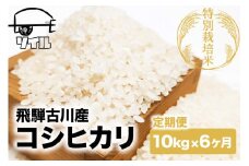【2025年先行予約 10月から発送】令和7年産 米 定期便 こしひかり 6か月 10kg 米 定期便 6回 コシヒカリ 飛騨古川産 特別栽培米 こしひかり 10kg 特A ソイル