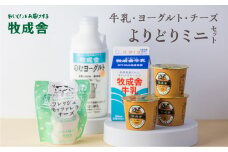 ＜牧成舎＞牛乳 ヨーグルト チーズ よりどりミニセット 4種 飛騨産生乳で作ったこだわりの乳製品セット 単身用 一人暮らし 2人暮らし ギフト まとめ買い 乳製品 福袋