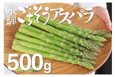【先行予約 令和7年 2025年発送】《サイズL-2L》飛騨の甘～い柔らかアスパラガス 500g syun77　