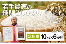 《先行予約》令和7年産 米 定期便 特別栽培米コシヒカリ 10kg×6ヶ月 合計60㎏ 池本農園 若手受賞農家のこだわりのお米 