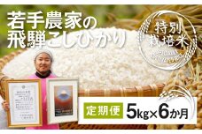 《先行予約》令和7年産 米 定期便 こしひかり 特別栽培米 5kg×6か月 合計30kg 若手受賞農家 池本農園 こだわりのお米