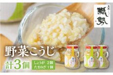 野菜麹 野菜こうじ 飛騨こうじ しょうが2個 たまねぎ1個  計3セット  米麹 米こうじ 生麹 発酵