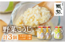 野菜麹 野菜こうじ 飛騨こうじ たまねぎ2個 しょうが1個  計3セット  米麹 米こうじ 生麹 発酵