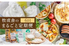 乳製品 定期便 6回＜牧成舎＞牛乳 ヨーグルト チーズ ピザ ソーセージ 牧成舎の商品をまるごと楽しむ 定期便 お楽しみ