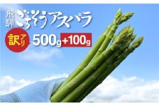 【令和7年産】＜訳あり＞飛騨の甘～い柔らかアスパラガス 600g  アスパラガス 野菜 先行予約 訳あり 規格外 家庭用