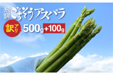 【令和7年産】＜訳あり＞飛騨の甘～い柔らかアスパラガス 600g  アスパラガス 野菜 先行予約 訳あり 規格外 家庭用