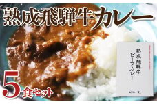 熟成飛騨牛カレー レトルト 詰め合わせ 5食セット 国産和牛カレー 観光地応援 熨斗対応 レトルトカレー 保存食 常備食 ビーフカレー