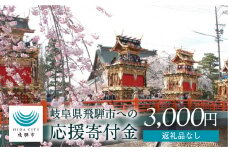 3000円 《返礼品なし》岐阜県飛騨市への寄付 応援寄付金 使い道 選べる 3000円[hida3]
