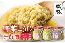 飛騨こうじの3種の野菜麹 しょうが・たまねぎ・にんにく各2個ずつ 計6個セット