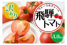 《2025年先行予約》【訳あり】飛騨トマト　約1.8kg 6月以降順次発送 産地直送 トマト 夏野菜 野菜 5000円 飛騨市