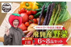 【2回定期便】産直市から直送！ 飛騨産 旬の新鮮 野菜セット (5～6品)   ～2025年7月から11月にお届け～