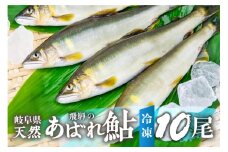 2025年産 飛騨 天然鮎 中サイズ 10尾 天然 アユ 鮎 選べる内容量 岐阜県 室田名人 宮川下流 飛騨のあばれ鮎 高級料亭御用達 急速冷凍 冷凍 あゆ 魚 天然 川魚 [Q2177_25] 32000円