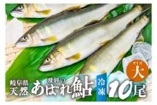 《先行予約》2025年産 飛騨 天然鮎 大サイズ 10尾 天然 アユ 鮎 岐阜県 室田名人 宮川下流 飛騨のあばれ鮎 高級料亭御用達 急速冷凍 冷凍 あゆ 魚 天然 川魚  50000円 5万円
