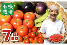 《2023年8月～11月お届け》飛騨 ありがとうファーム 無農薬栽培　野菜セット 7品 お野菜のレシピ付き 