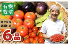 《自家製黒豆米麹味噌付き》 無農薬栽培野菜セット6品  お野菜のレシピ付き 味噌 野菜 有機野菜