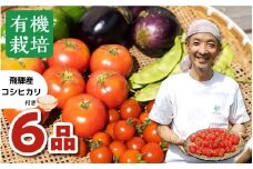 《飛騨産コシヒカリ3合付き》飛騨 ありがとうファーム 無農薬栽培　野菜セット6品 米3合 お野菜のレシピ付き 