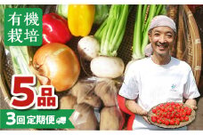 《2023年8月～11月お届け》飛騨 ありがとうファーム　無農薬栽培 野菜セット ５品 3回お届け 定期便 お野菜のレシピ付き