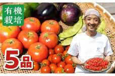 《2023年8月～11月お届け》飛騨 ありがとうファーム 無農薬栽培　野菜セット ５品 お野菜のレシピ付き