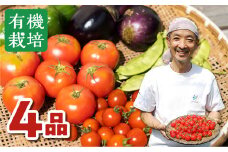 《2024年6月～8月お届け》飛騨 ありがとうファーム 無農薬栽培　野菜セット ４品 お野菜のレシピ付き