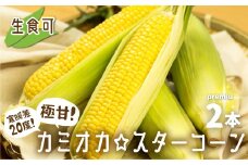 《2025年 先行予約》令和7年産《期間・数量限定》まるでフルーツ！特別栽培トウモロコシ プレミアム 2本　激甘！極旨のスーパースイート系トウモロコシ「カミオカスターコーン」 とうもろこし ギフト コーン