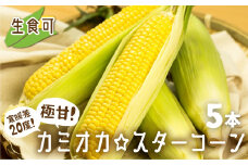 《2025年 先行予約》まるでフルーツ！特別栽培 トウモロコシ 激甘！極旨のスーパースイート系トウモロコシ「カミオカスターコーン」5本 令和7年産 まるで フルーツ 甘い コーン とうもろこし 野菜 果物 夏 BBQ 焼肉 贈答 ギフト 12000円