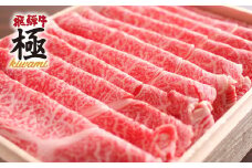 飛騨牛 肩ロースしゃぶしゃぶ用 500g 飛騨牛 カタロース ロース しゃぶしゃぶ プロ厳選 牛肉 和牛 肉 国産 鍋 通常 贈り物 ギフト 30000円 3万円 [D0016x]