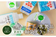 訳あり 福袋 ＜牧成舎＞乳製品デラックスセット 牛乳 ヨーグルト チーズ お任せ 飛騨産生乳で作ったこだわりの乳製品セット まとめ買い 牧成舎
