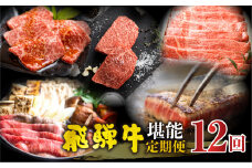 【まるごと定期便】飛騨牛堪能 12回 定期便 | 飛騨牛 和牛 国産牛 黒毛和牛 12ヶ月 1年 12回 年間 牛肉 すき焼き しゃぶしゃぶ ステーキ 切落し 切り落とし 焼肉 やきにく BBQ バーベキュー 赤身 霜降り 食べ比べ 冷凍 冷蔵