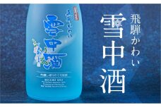　【2025/7/2発送】飛騨かわい雪中酒　純米吟醸 生原酒720ml 令和7年産 1本