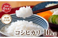 令和6年産 飛騨の蔵出し コシヒカリ 10kg 10キロ お米 精白米 こしひかり 米 お米 精米 白米