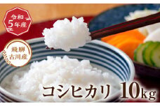 令和5年産 飛騨の蔵出し コシヒカリ 10kg 10キロ お米 精白米