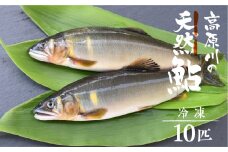 先行予約【令和7年7月末～9月上旬発送】高原川の天然鮎 10匹 たかはら鮎 鮎 あゆ アユ 川魚 魚 サカナ 天然 冷凍 アウトドア バーベキュー BBQ 魚 seas71